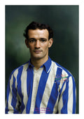 Patrick O'Connell, Sheffield Wednesday